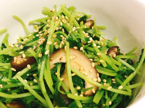 【お弁当に！塩分不使用】干し椎茸と豆苗の塩炒め